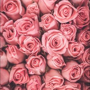 Meet your Posher, Reagan